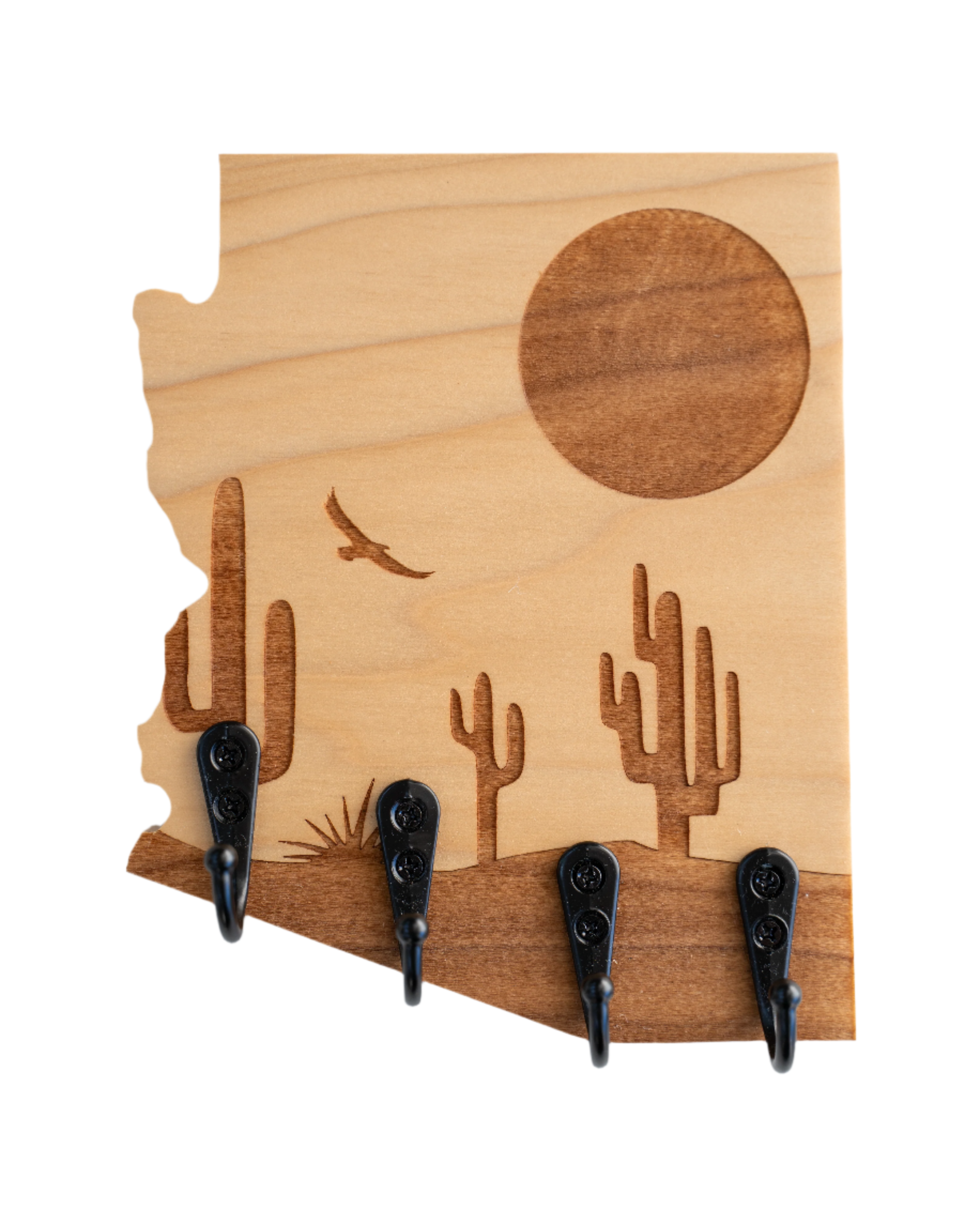 Desert Landscape V5 Arizona Wall Hanger