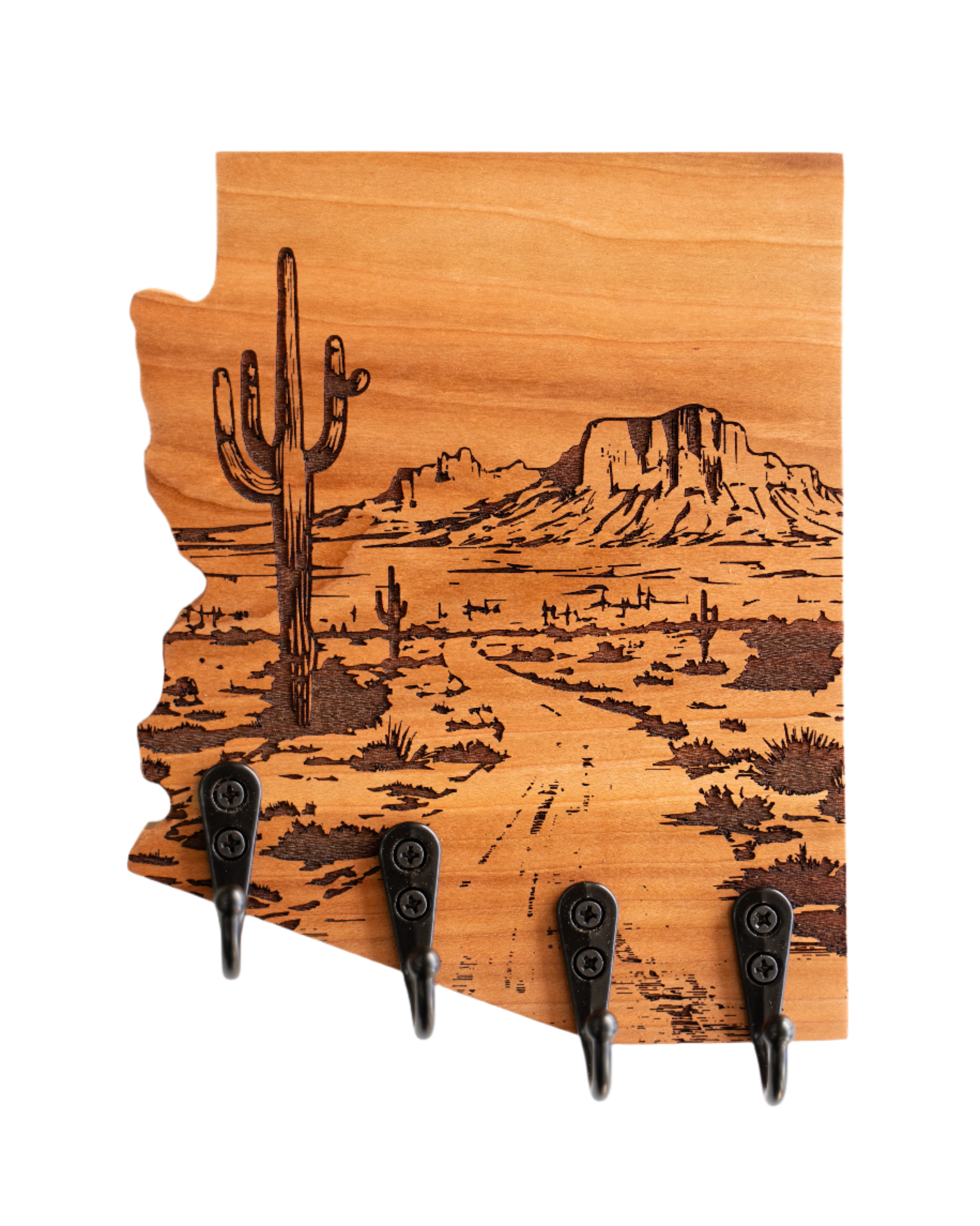 Desert Road 09 Arizona Wall Hanger