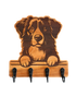 Peeking Australian Shepherd Wall Hanger