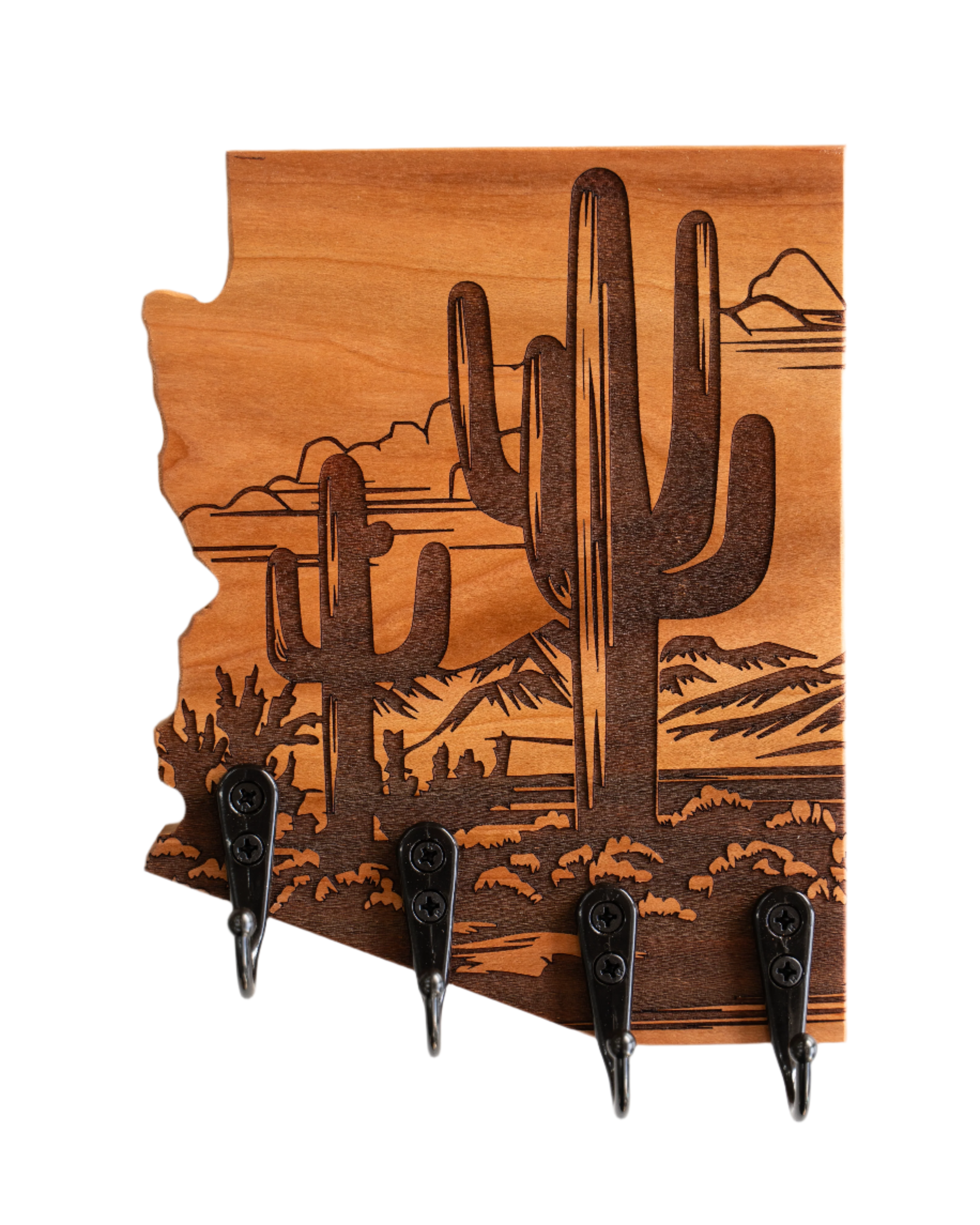 Saguaro National Park 07 Arizona Wall Hanger