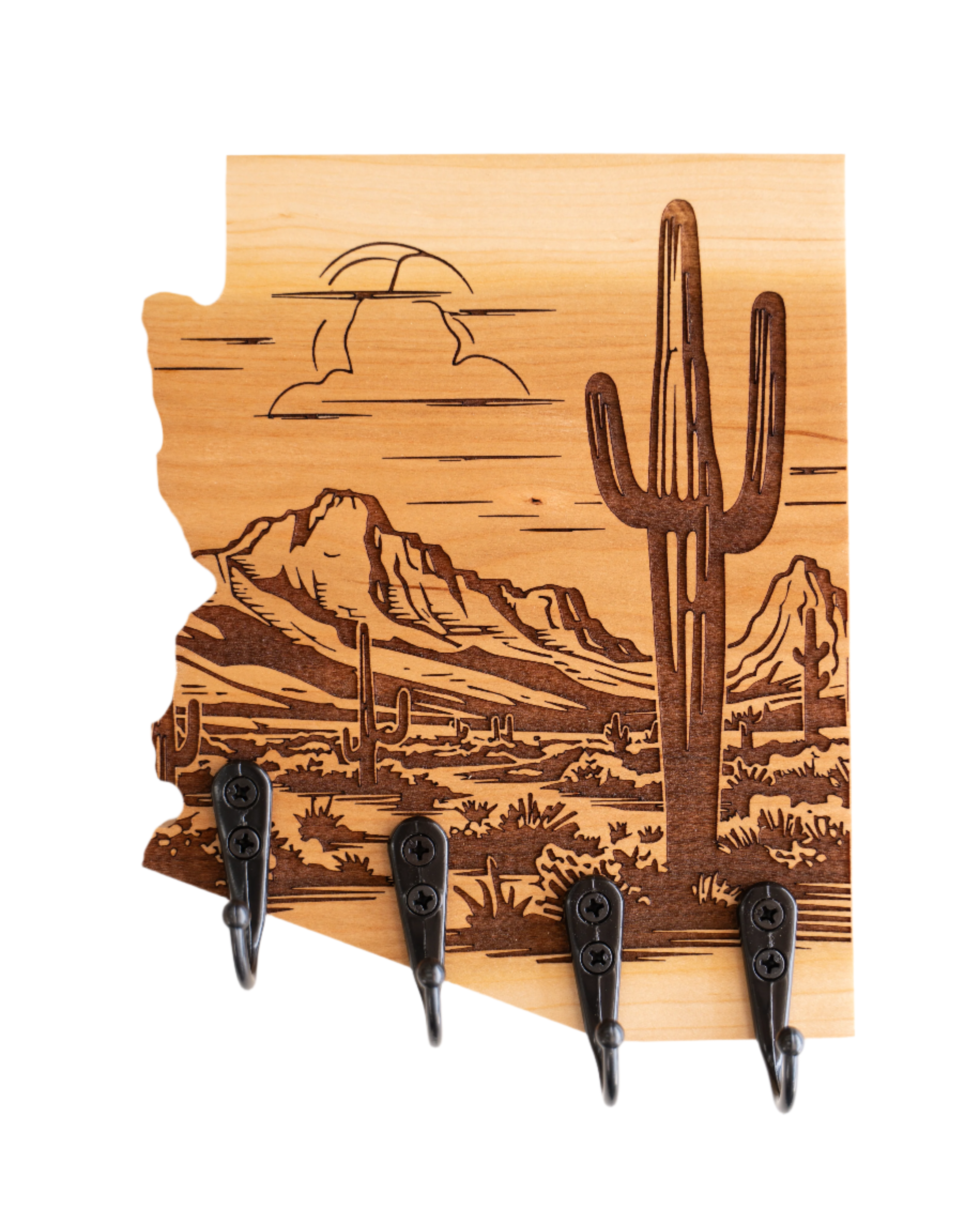 Saguaro National Park 08 Arizona Wall Hanger