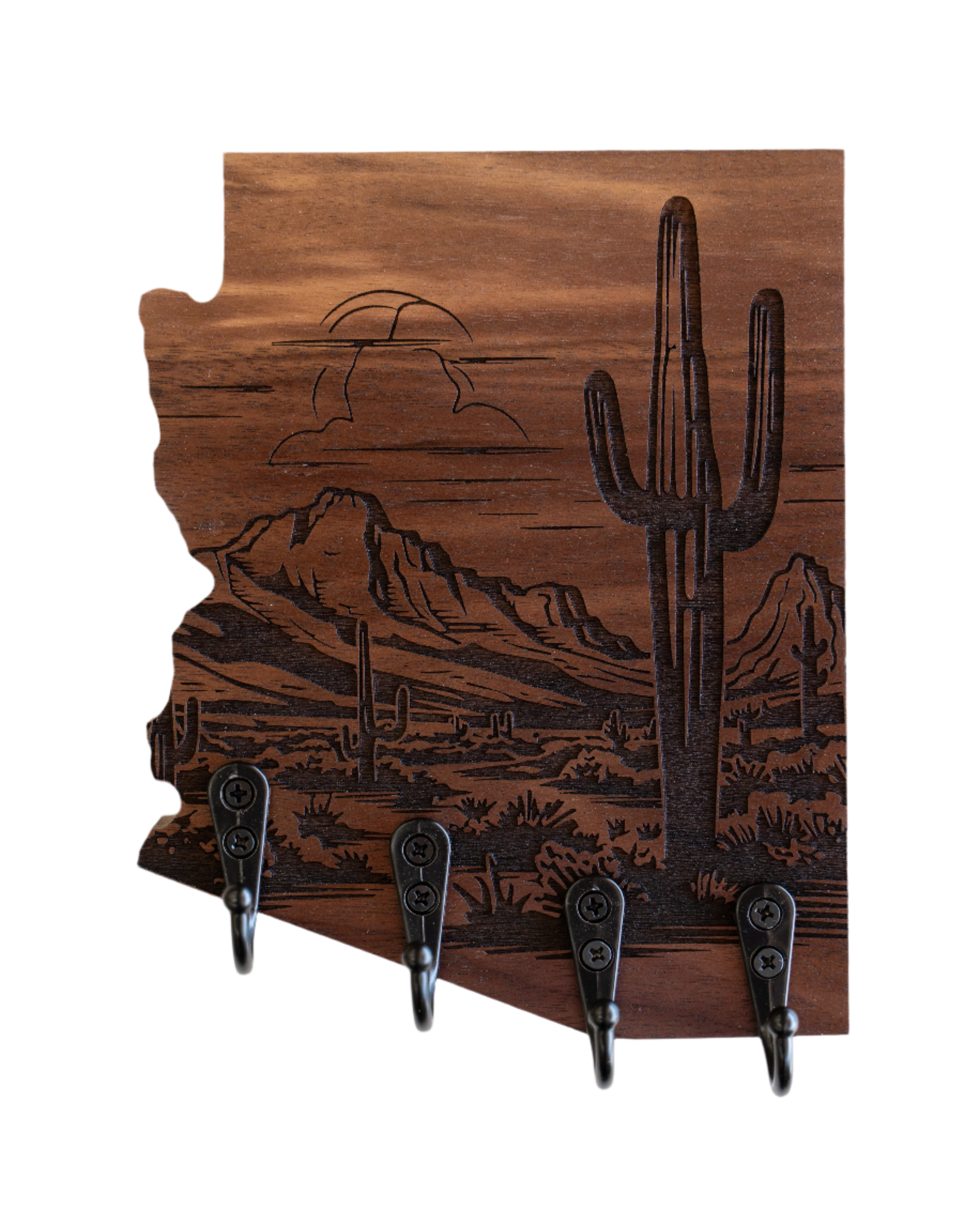 Saguaro National Park 08 Arizona Wall Hanger