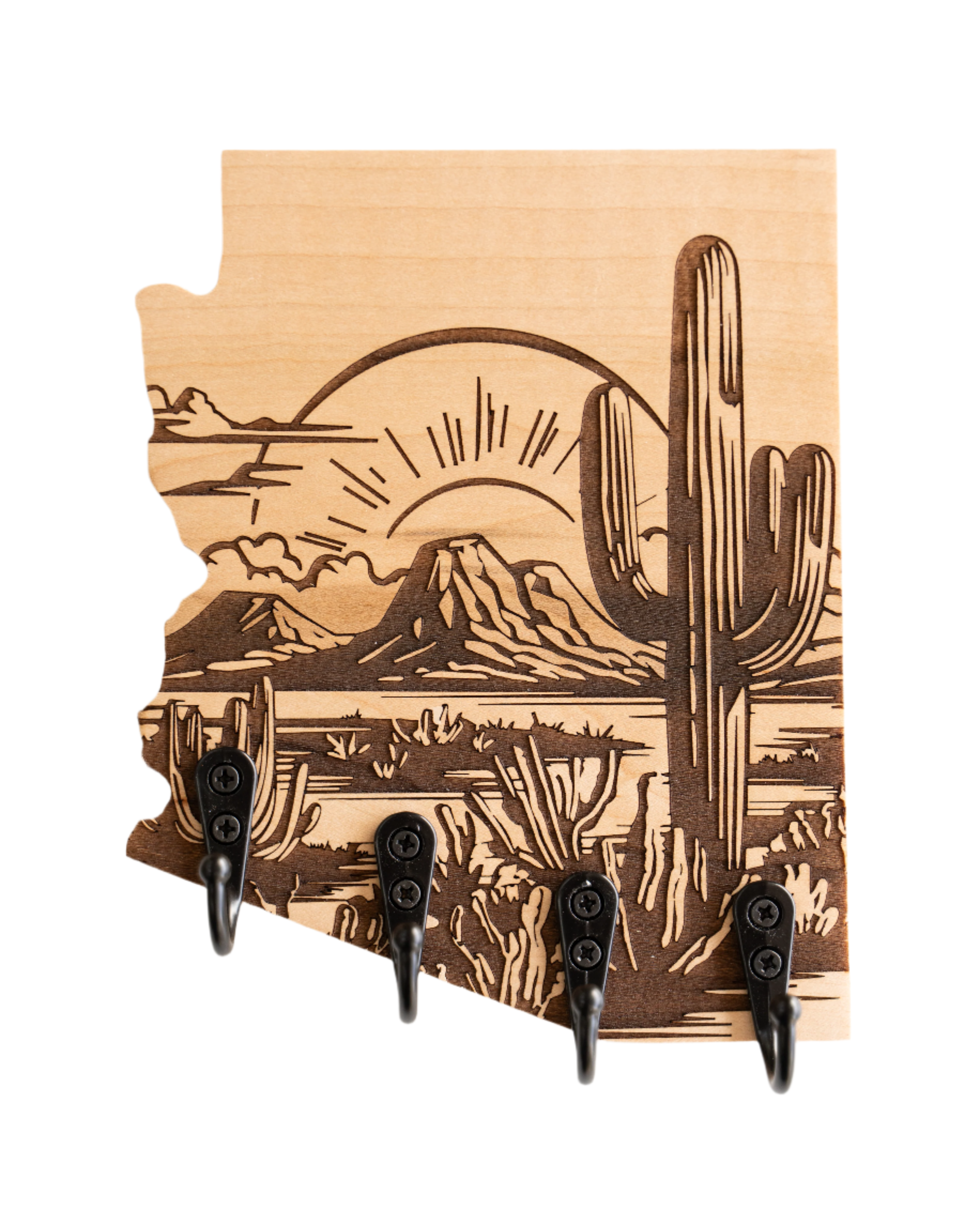 Sonoran Desert 01 Arizona Wall Hanger