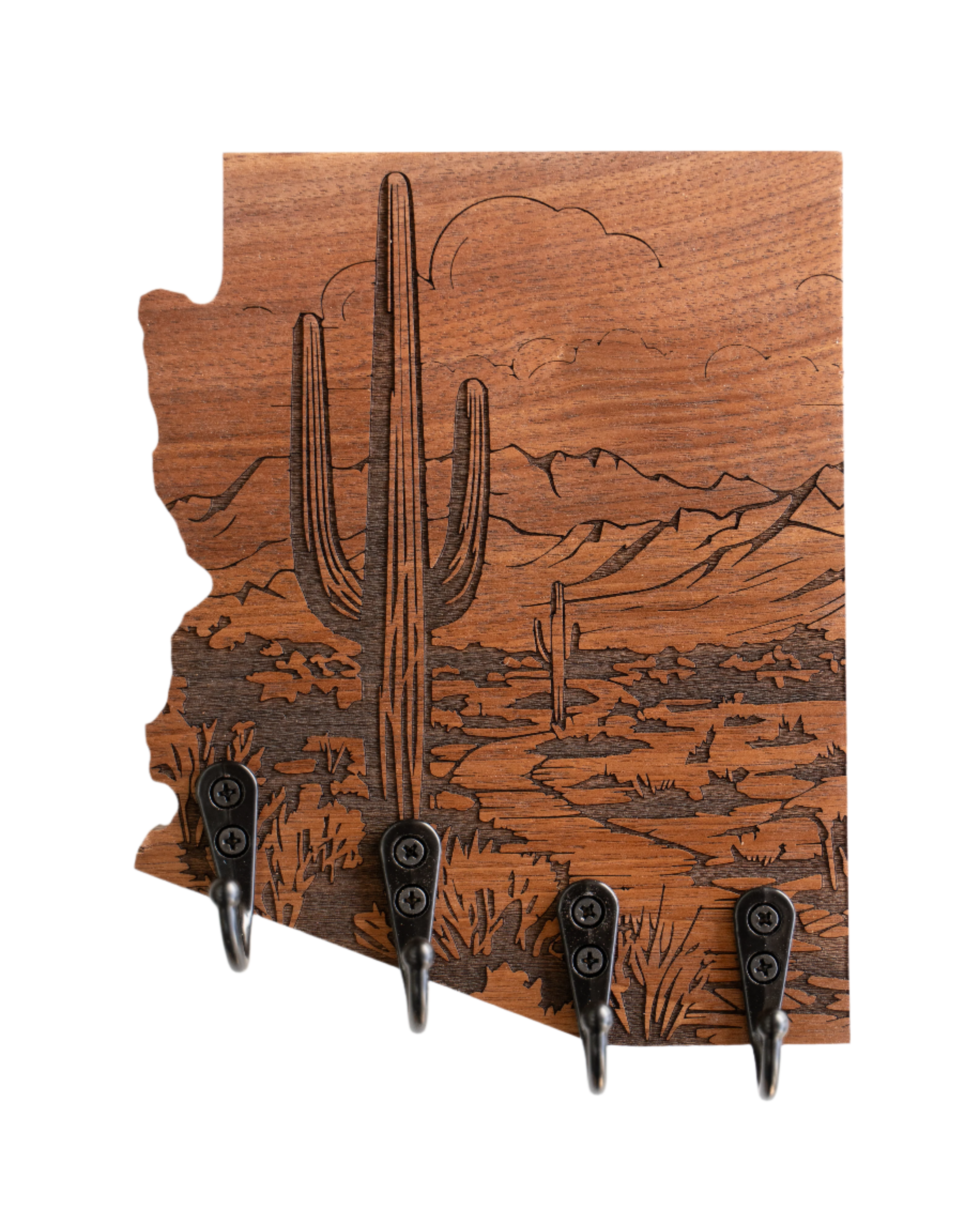 Sonoran Desert 05 Arizona Wall Hanger