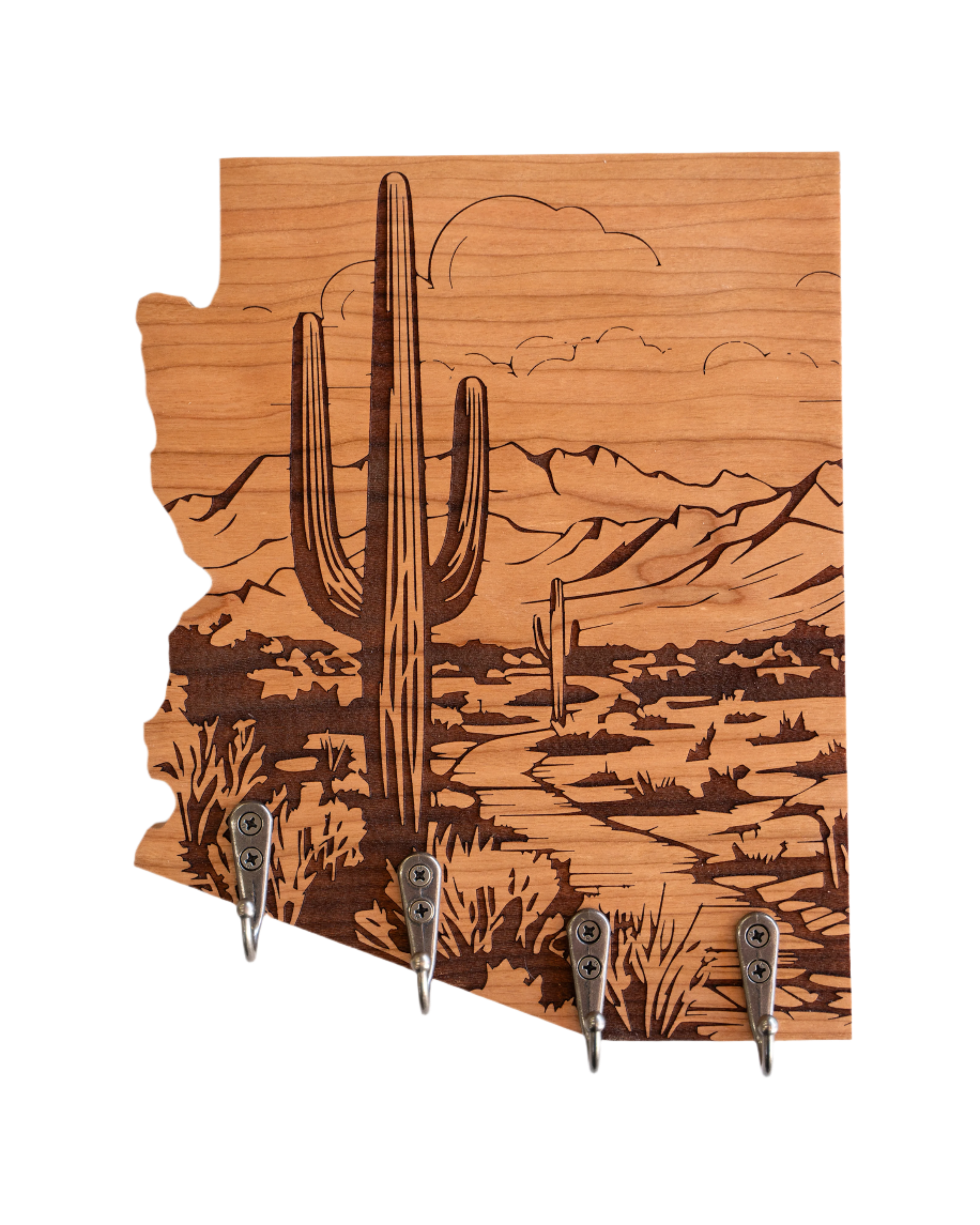 Sonoran Desert 05 Arizona Wall Hanger