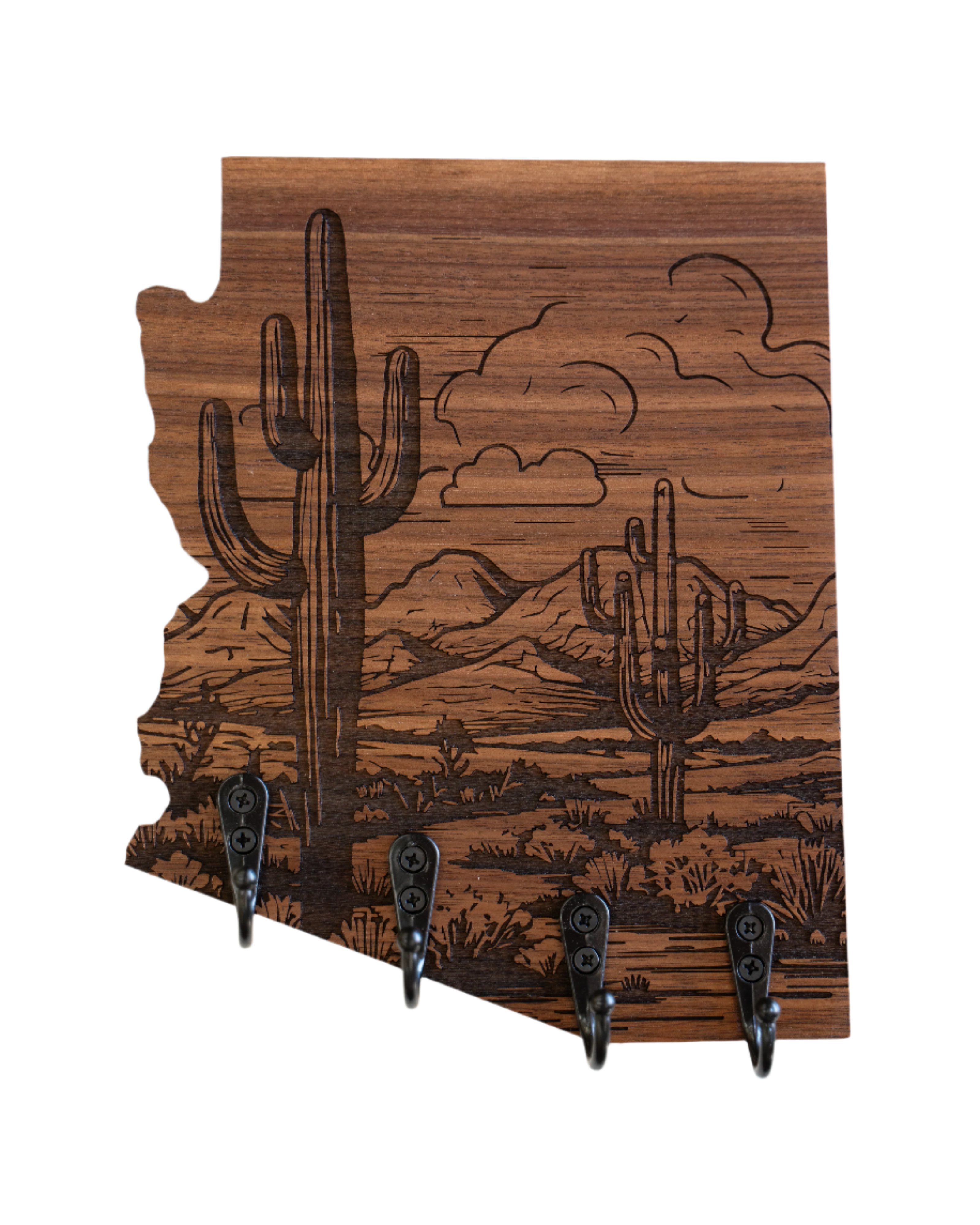 Sonoran Desert 07 Arizona Wall Hanger