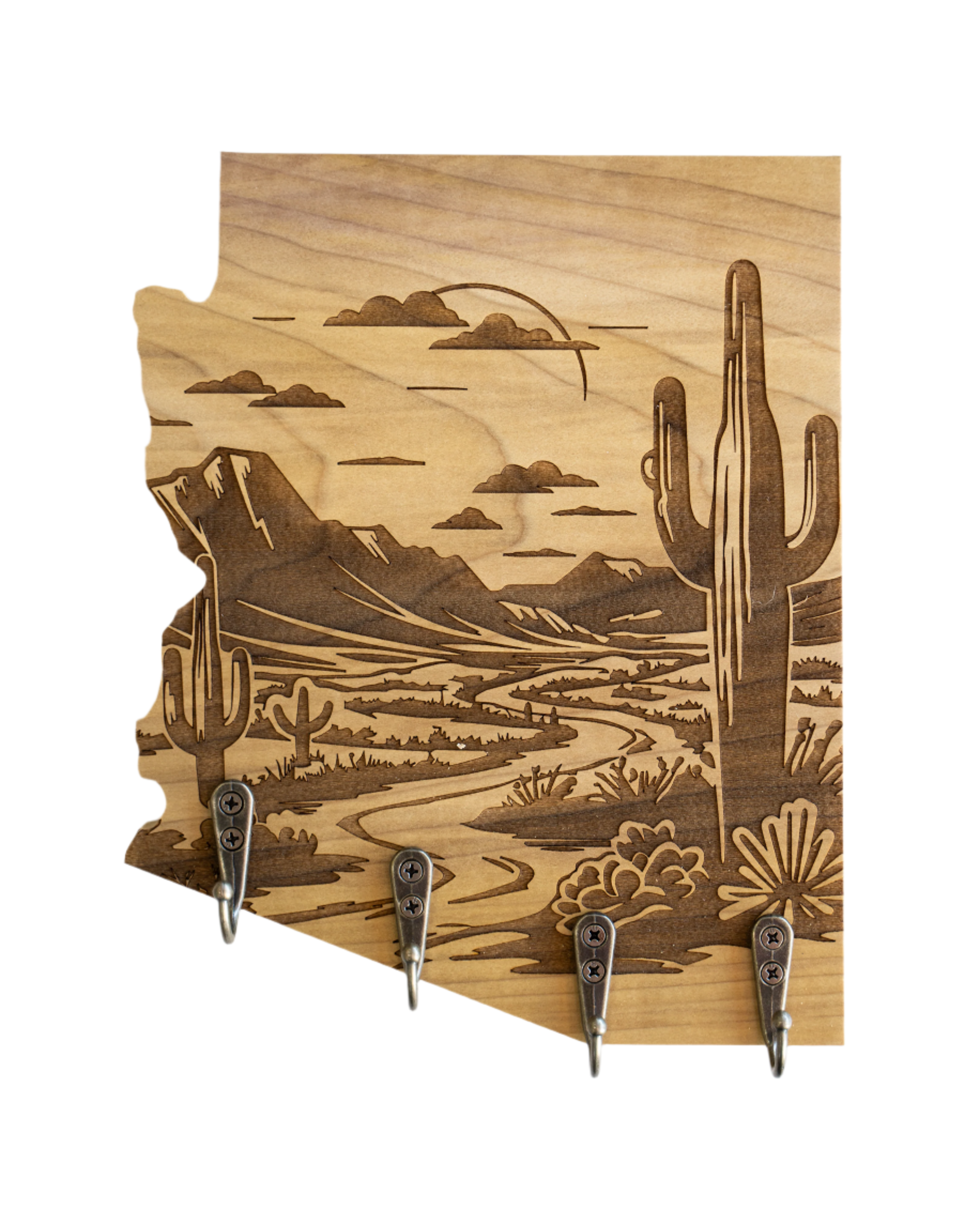 Sonoran Desert 09 Arizona Wall Hanger