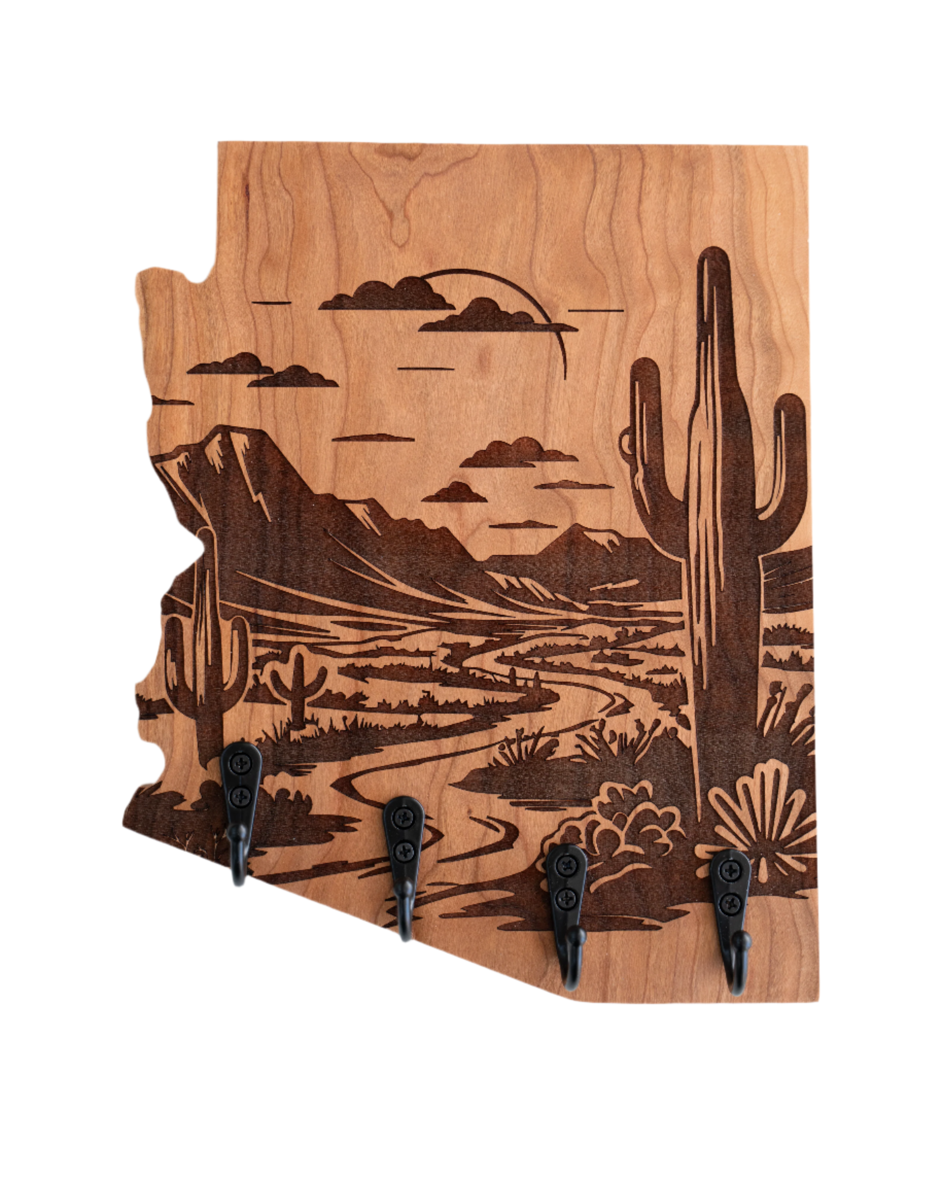 Sonoran Desert 09 Arizona Wall Hanger