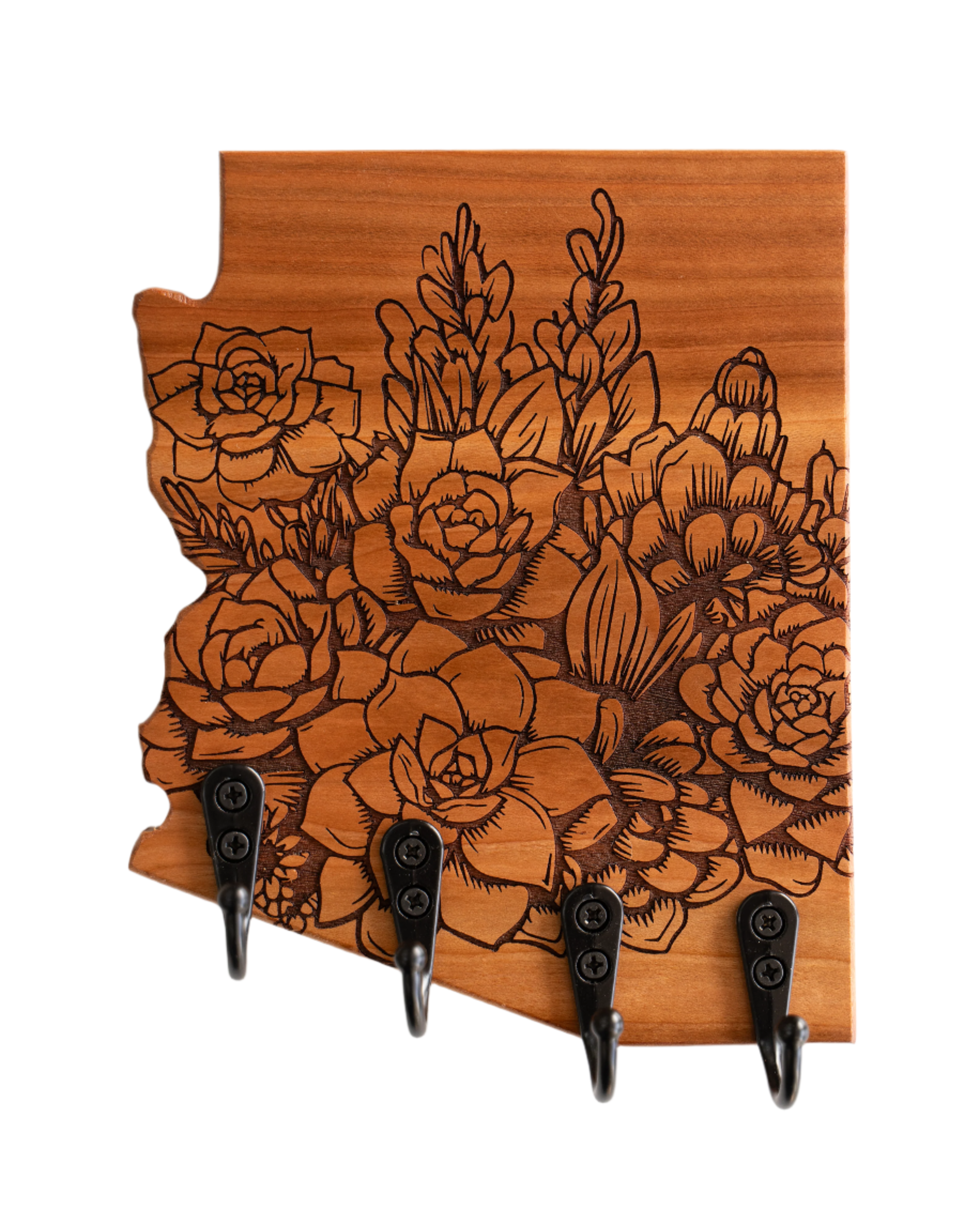 Succulent Bundle 08 Arizona Wall Hanger