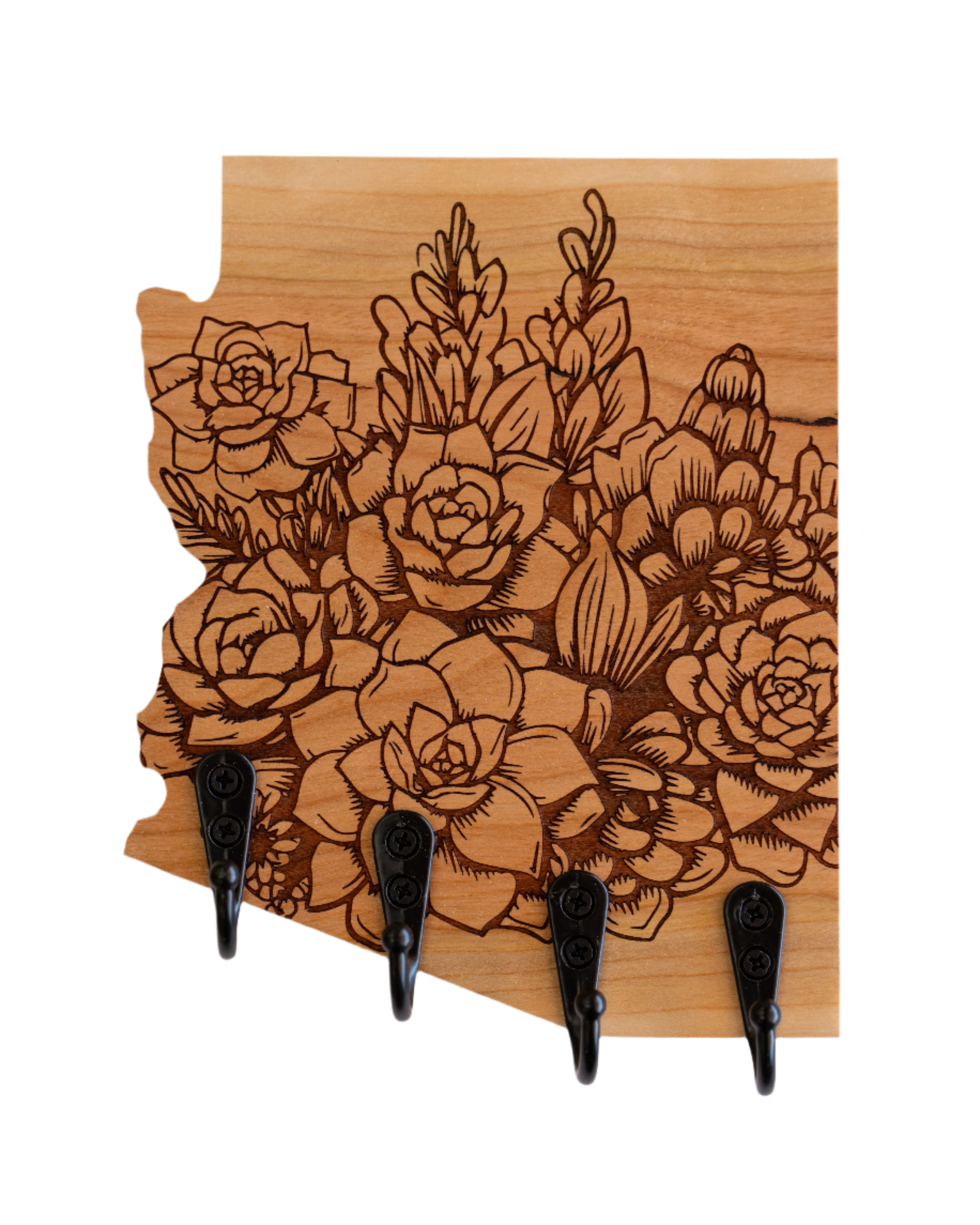 Succulent Bundle 08 Arizona Wall Hanger