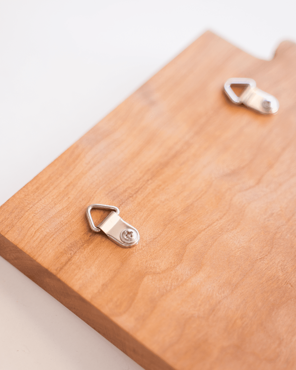 Hummingbird 06 Arizona Wall Hanger - GreyForge Customs