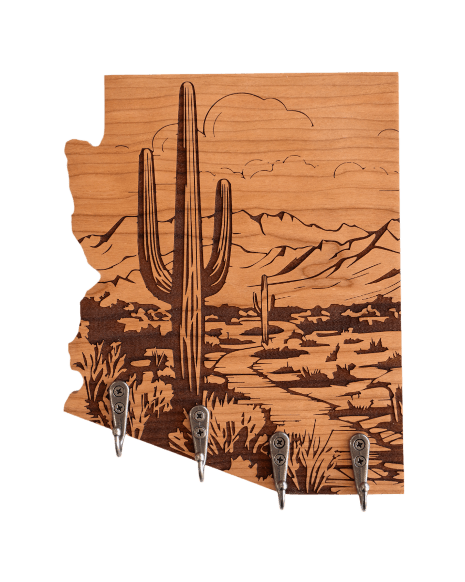 Sonoran Desert 05 Arizona Wall Hanger - GreyForge Customs