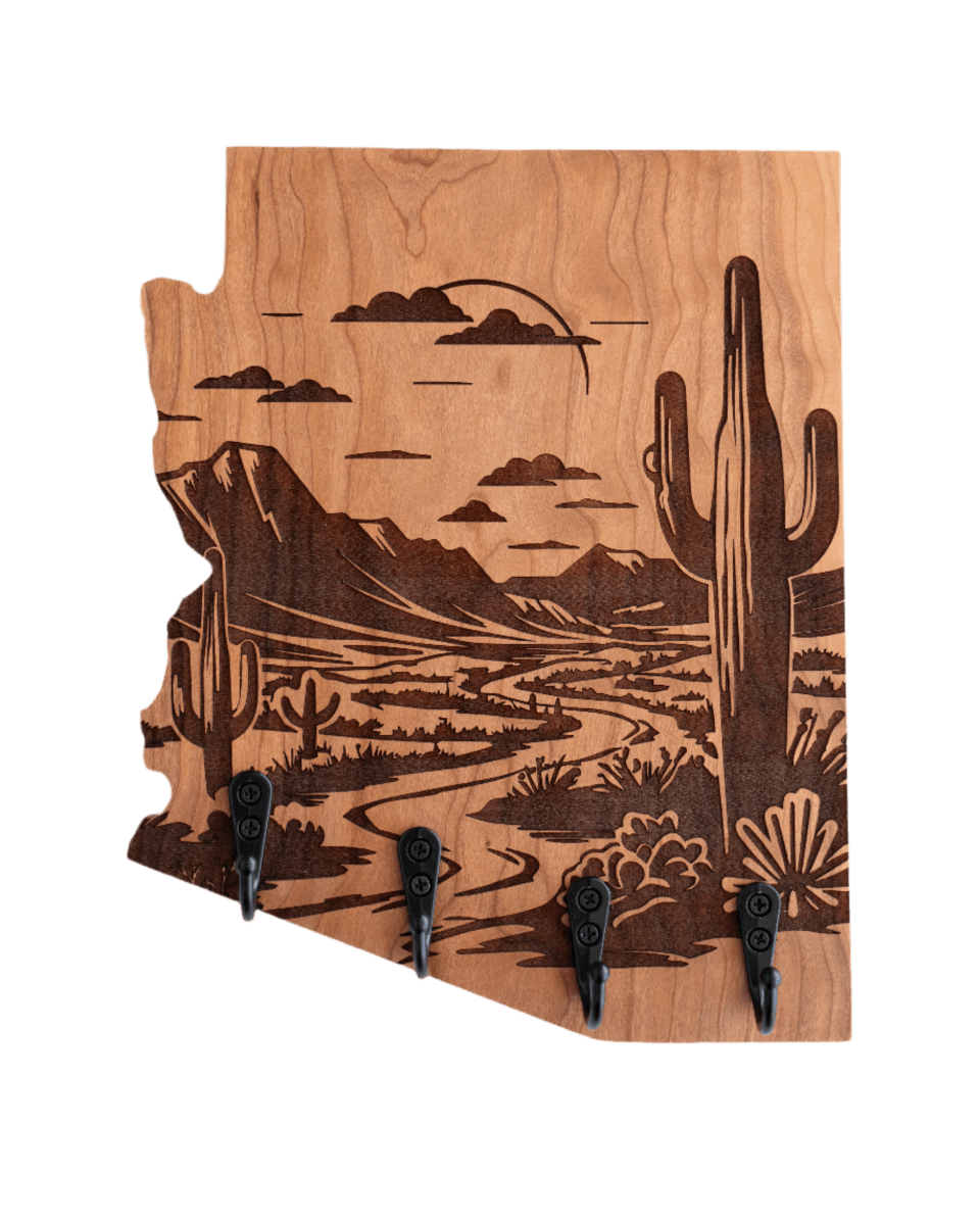 Sonoran Desert 09 Arizona Wall Hanger - GreyForge Customs